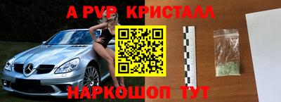 ECSTASY Ярославль
