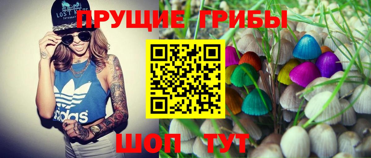 Братск  Псилоцибиновые грибы прущие грибы  Вход с VPN 